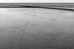 Nordseedeich 2