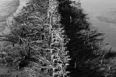 Nordseedeich 3