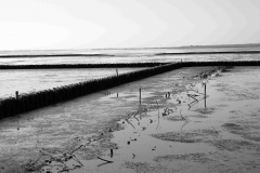 Nordseedeich 4