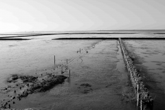 Nordseedeich 5