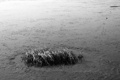 Nordseedeich 6