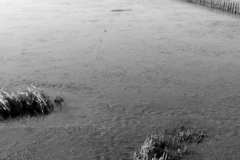 Nordseedeich 7