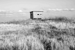 Nordseedeich 8