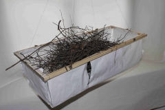 Nestschaukel