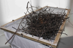 Nestschaukel