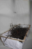 Nestschaukel