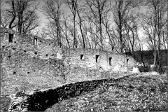 Burg Donaustauf 8