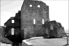 Burg Donaustauf 5
