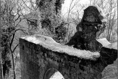 Burg Donaustauf 6